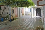 fialka4