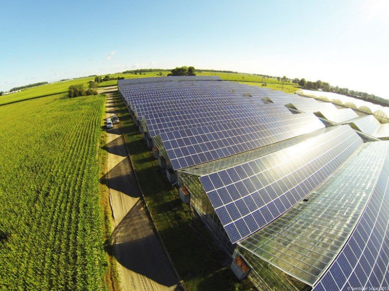 Солнечная энергетика в аграрном секторе