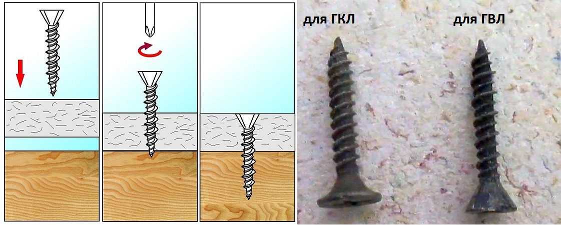 ГКЛ и ГВЛ: виды размеры, характеристики и в чем их отличия - Свой Дом